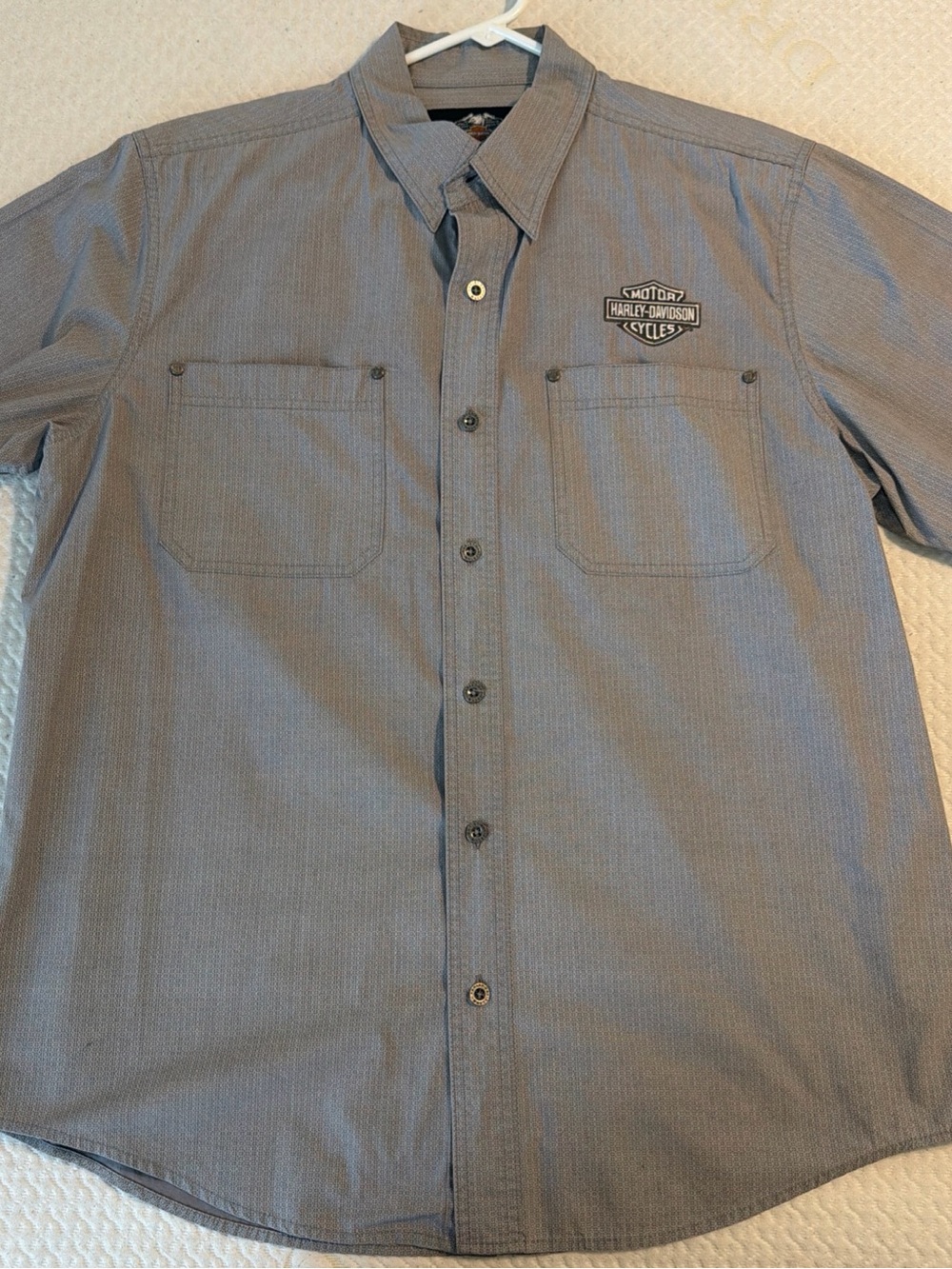 Harley-Davidson Men’s Button-Down Shirt in Gray